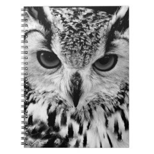 Caderno Espiral Feche acima do retrato da Eagle-coruja