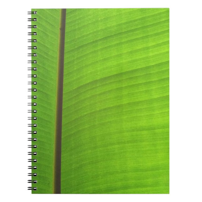 Caderno Espiral Fecho de Banana Leaf (Frente)