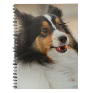 Caderno Espiral Feliz Shelty