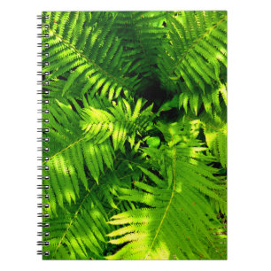 Caderno Espiral Fern