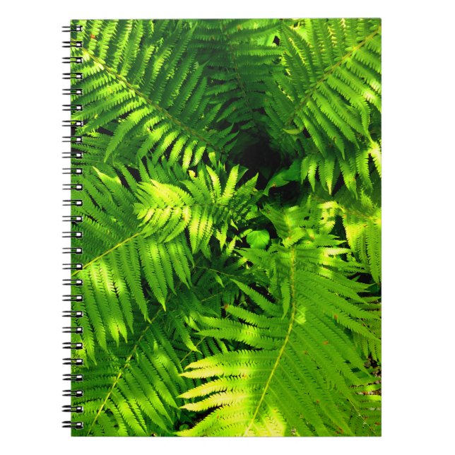 Caderno Espiral Fern (Frente)