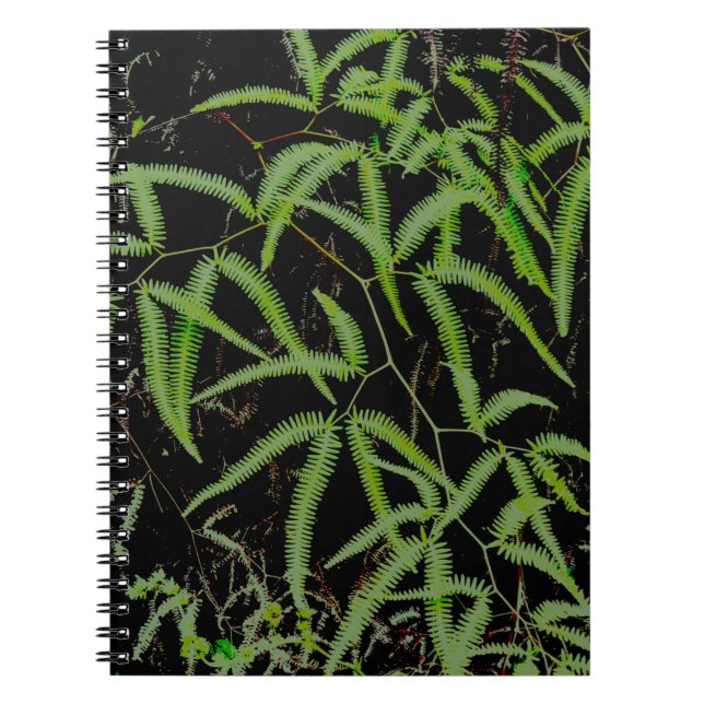 Caderno Espiral Fern (Frente)