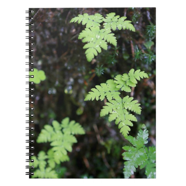 Caderno Espiral Ferns - (Frente)