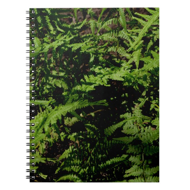 Caderno Espiral Ferns do chão da floresta verde botânica (Frente)