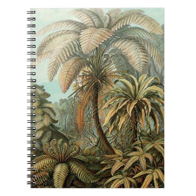 Caderno Espiral Ferns Palm Tree Arte Botânica Antica (Frente)