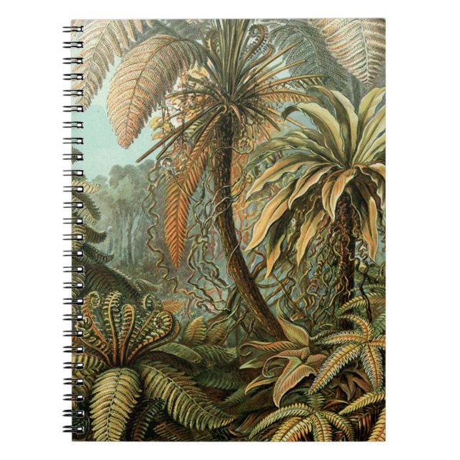 Caderno Espiral Ferns Palm Tree Arte Botânica Antica (Frente)