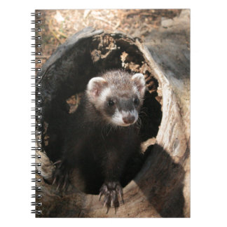 Caderno Espiral Ferret Face