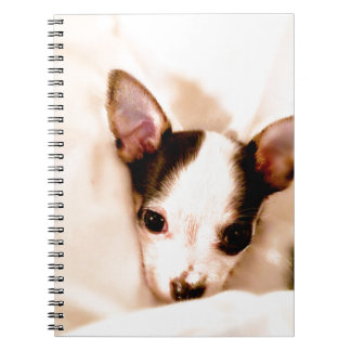Caderno Espiral Filhote de cachorro
