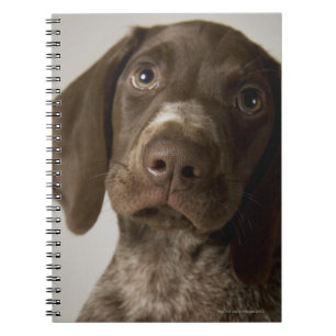 Caderno Espiral Filhote de cachorro alemão do ponteiro de cabelos