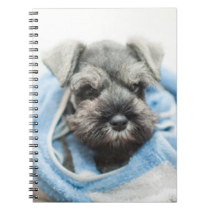 Caderno Espiral Filhote de cachorro após o banho