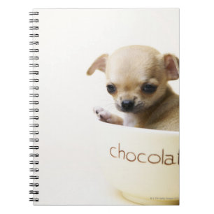 Caderno Espiral Filhote de cachorro da chihuahua na bacia