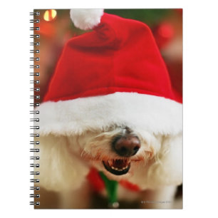 Caderno Espiral Filhote de cachorro de Bichon Frise que veste o
