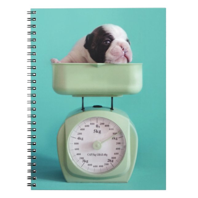 Caderno Espiral Filhote de cachorro do buldogue francês (Frente)
