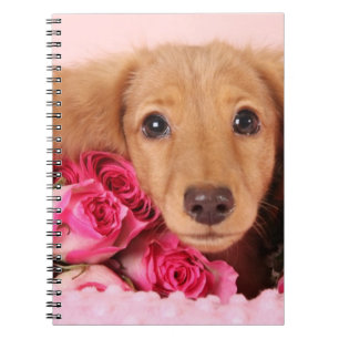 Caderno Espiral Filhote de cachorro do Dachshund cercado por rosas