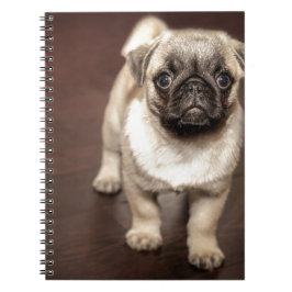 Caderno Espiral Filhote de cachorro do Pug