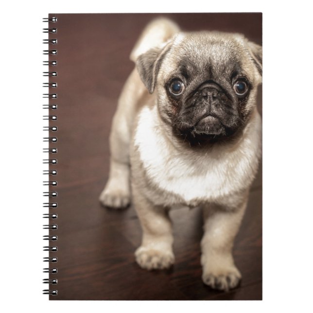 Caderno Espiral Filhote de cachorro do Pug (Frente)
