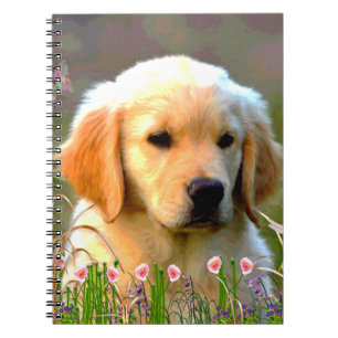 Caderno Espiral Filhote de cachorro dourado de Austin Labrador