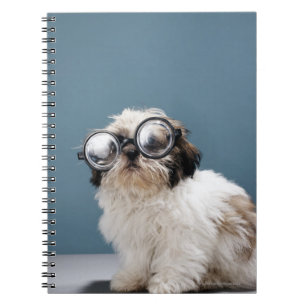 Caderno Espiral Filhote de cachorro que veste vidros grossos