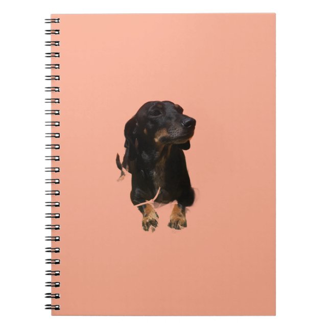 Caderno Espiral Filhote de Dachshund (Frente)