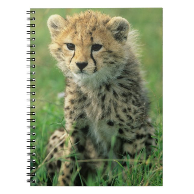 Caderno Espiral Filhote de Guepardo Fofinho (Frente)