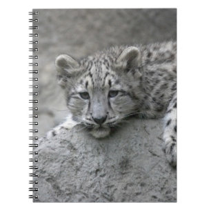 Caderno Espiral Filhote de leopardo-da-neve de 4 meses de idade es