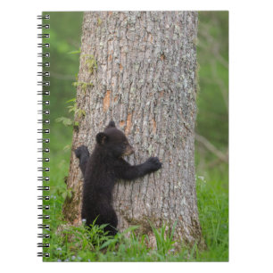 Caderno Espiral Filhote de Urso Preto Grandes Montanhas Fumosas
