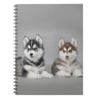Caderno Espiral filhotes de husky siberiano