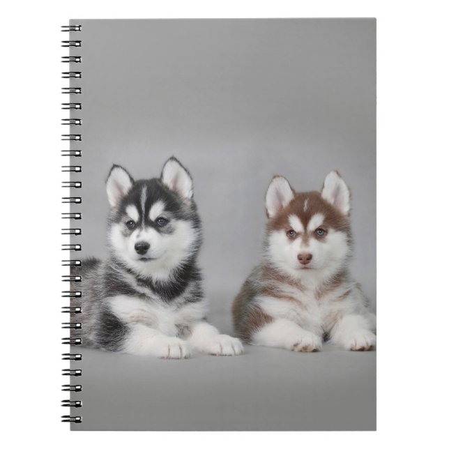 Caderno Espiral filhotes de husky siberiano (Frente)
