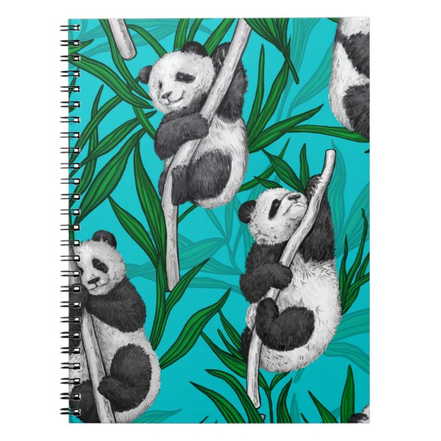 Caderno Espiral Filhotes de Panda em turquesa (Frente)