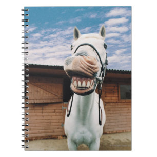 Caderno Espiral Fim-acima do cavalo com a boca aberta