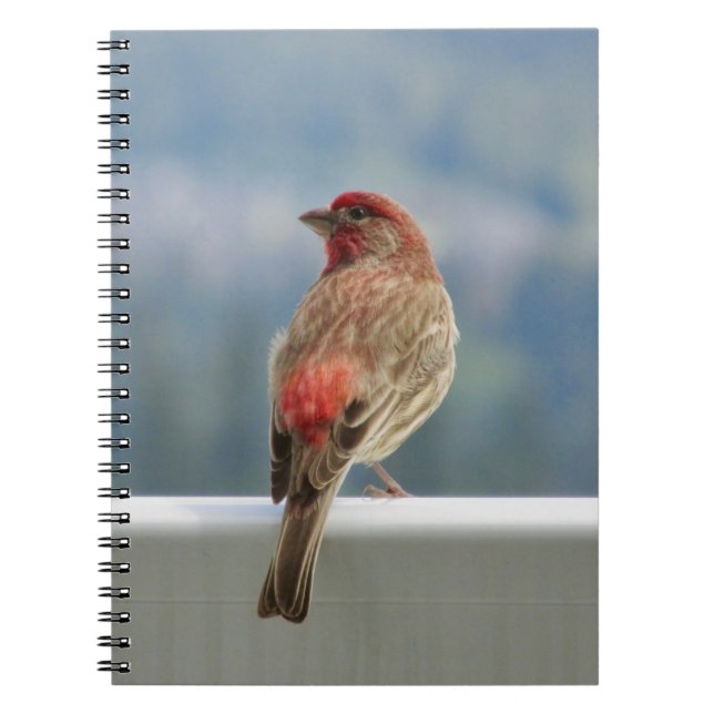 Caderno Espiral Finch Vermelho Verificando a Vista. (Frente)