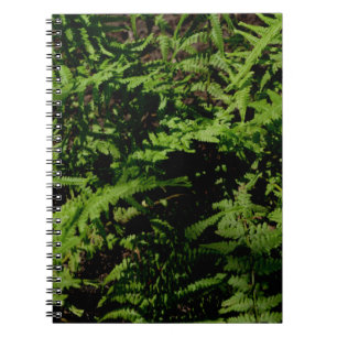 Caderno Espiral Fios de Floresta