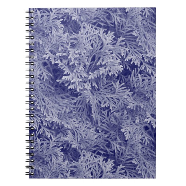 Caderno Espiral Fir Azul (Frente)
