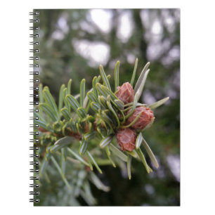 Caderno Espiral Fir buds