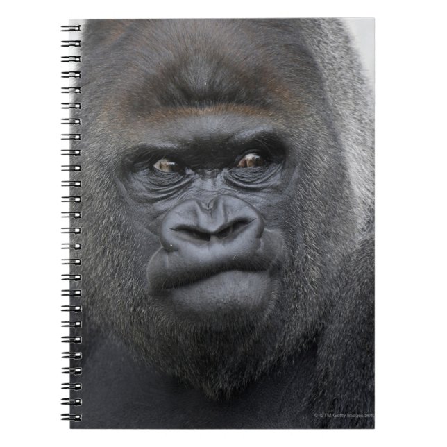 Caderno Espiral Flachlandgorilla, Gorilla gorilla, (Frente)