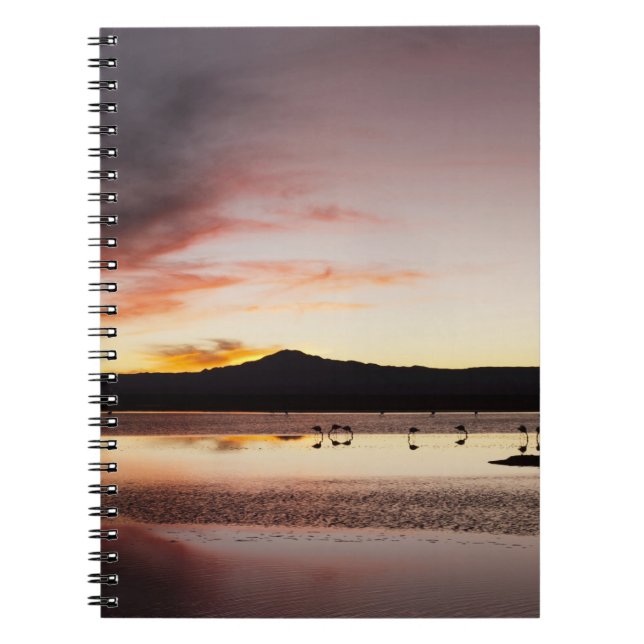 Caderno Espiral Flamingo Chileno (Frente)