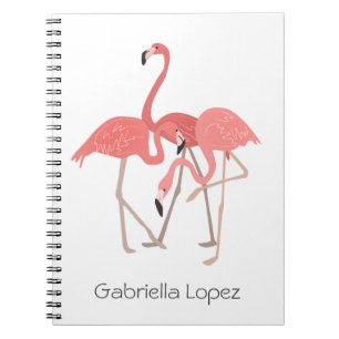 Caderno Espiral Flamingo Trio Personalizado