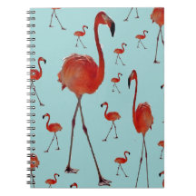 Flamingoes Andando