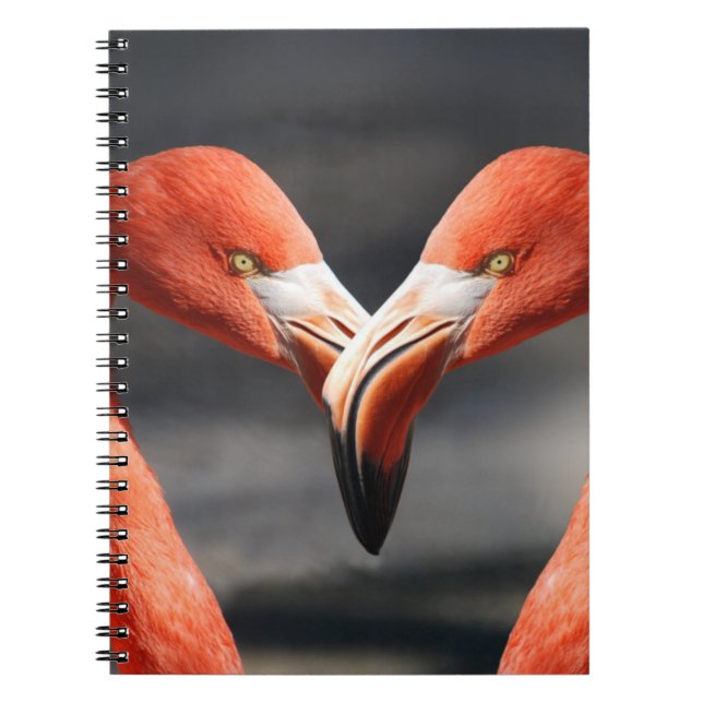 Caderno Espiral Flamingoes no Amor (Frente)
