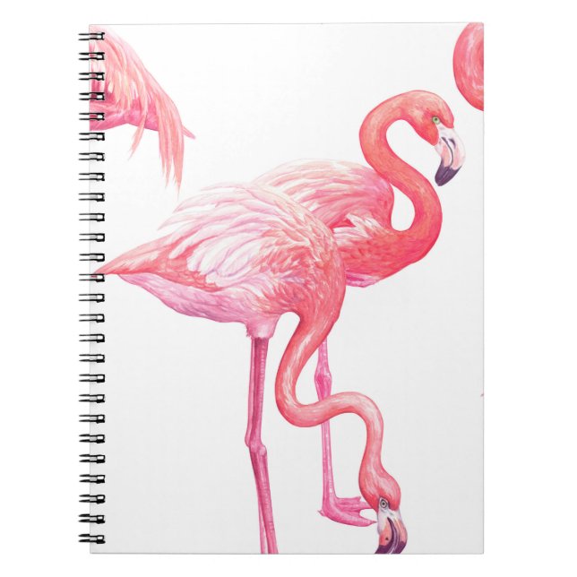 Caderno Espiral Flamingos (Frente)