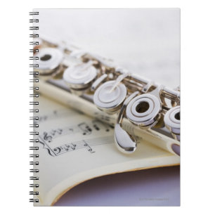 Caderno Espiral Flauta 2
