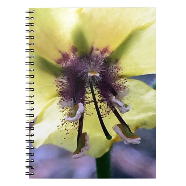 Caderno Espiral Flor Amarela 3 (Frente)