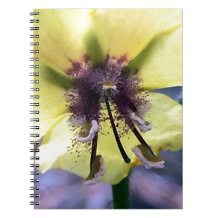 Caderno Espiral Flor Amarelo 3