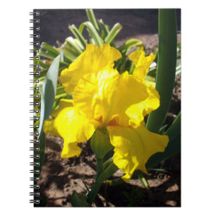 Caderno Espiral Flor Amarelo Brilhante, Notebook