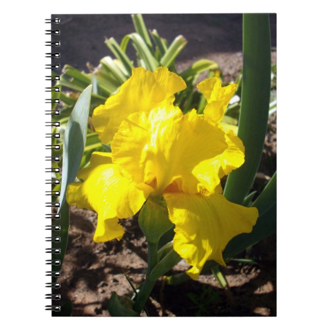 Caderno Espiral Flor Amarelo Brilhante, Notebook (Frente)