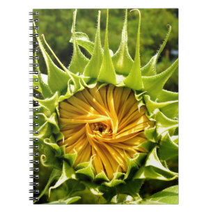Caderno Espiral Flor amarelo divertido Sunflower