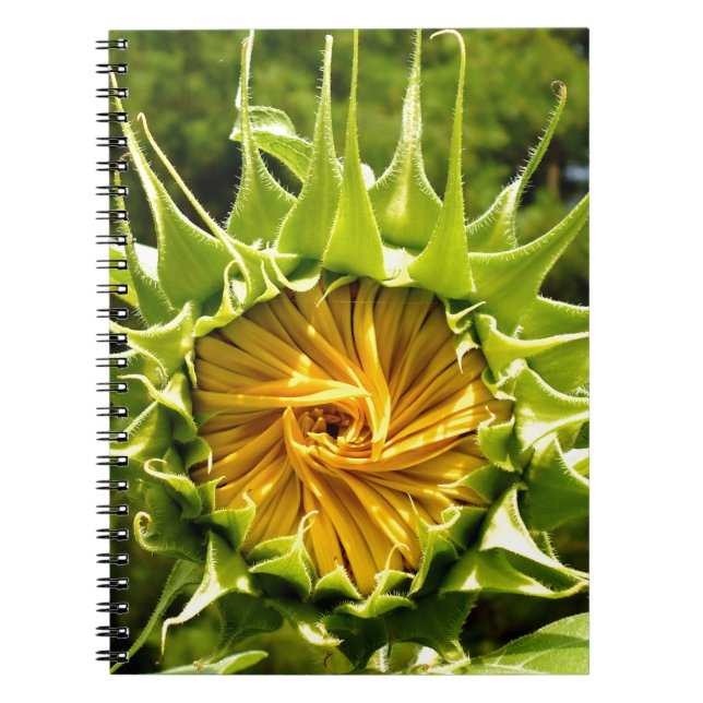 Caderno Espiral Flor amarelo divertido Sunflower (Frente)