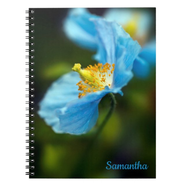 Caderno Espiral Flor Azul Papoila-Espiral (Frente)