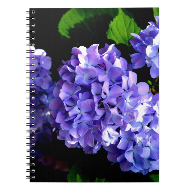 Caderno Espiral Flor azul roxa-brava-brava (Frente)