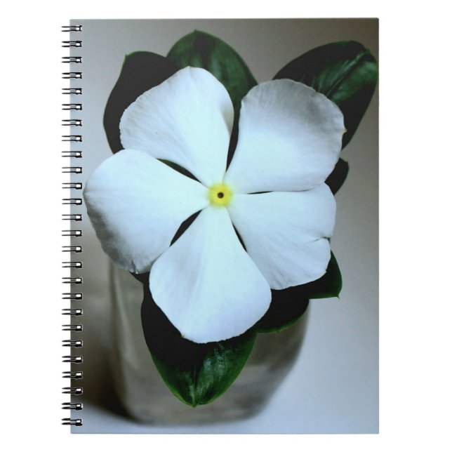 Caderno Espiral Flor branca (Frente)